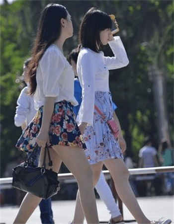 征服美丽官太太小说