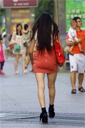 穿越小说女主驯万兽的