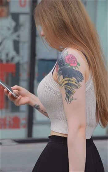 手机怎么进proumb