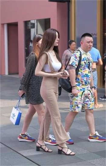 萌犬一只34分钟在线