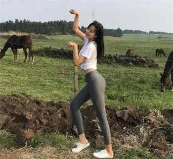 王城的极品丈母娘